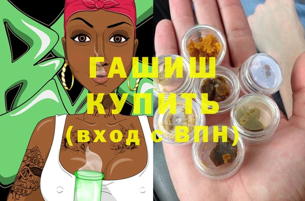 шишки Алзамай