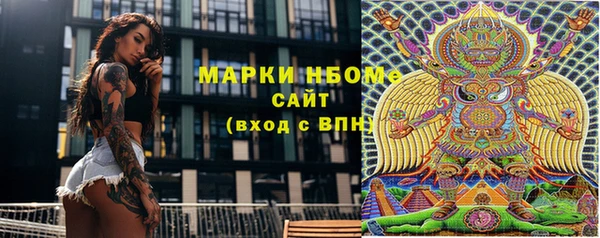 шишки Алзамай