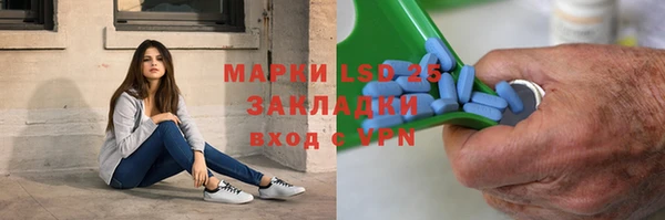шишки Алзамай