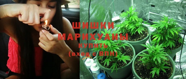 шишки Алзамай