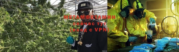 шишки Алзамай