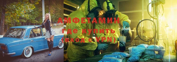 шишки Алзамай