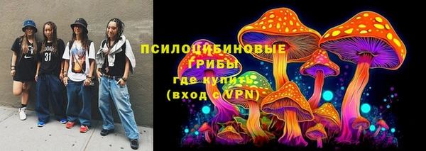 шишки Алзамай