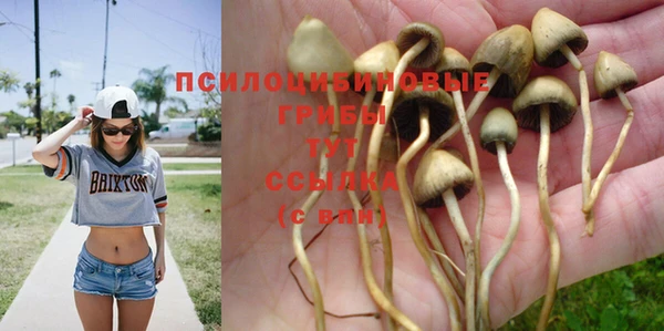 дурь Алексеевка