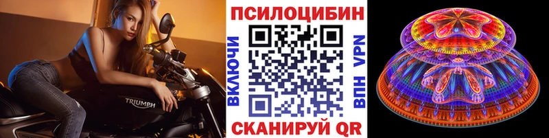Псилоцибиновые грибы MAGIC MUSHROOMS  как найти закладки  Алупка 